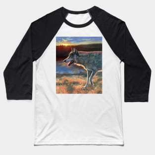 Two Socks - Dances with Wolves Baseball T-Shirt